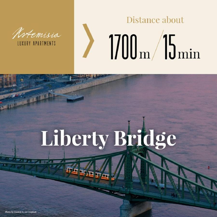 Artemisia Luxury Terrace Apartment