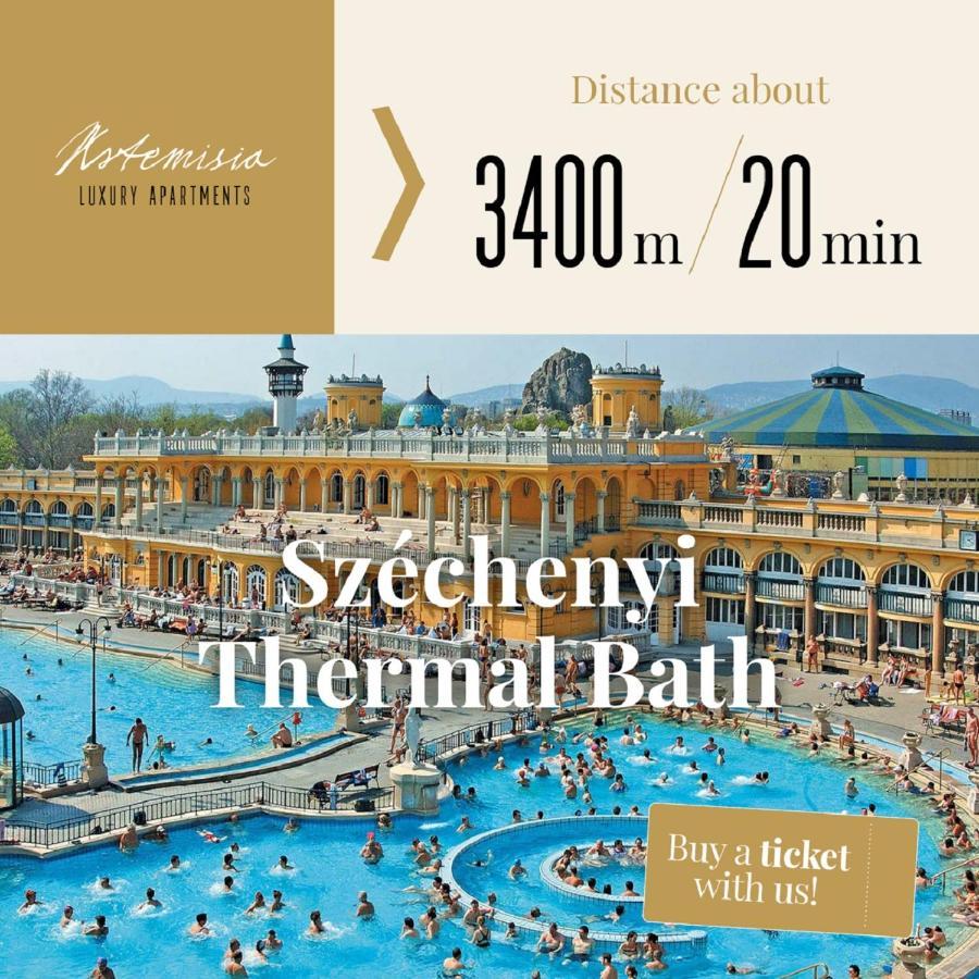 Artemisia Luxury Terrace Apartment